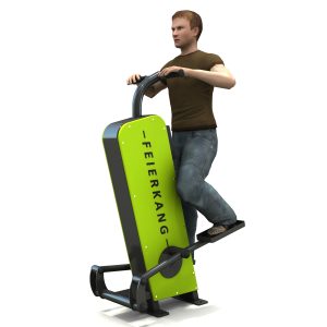 הסדרה החכמה - מדרגות