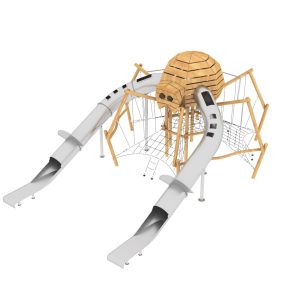 עכביש העץ הכפול